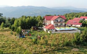 Pensiune Runcu Stone